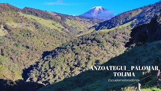 Anzoátegui Tolima Palomar 🙌💯🇨🇴 [upl. by Vedette]