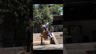 kungfu Shaolin Slow Motion Acrobatics martialarts artesmarcias 武术 shaolin [upl. by Berkman]