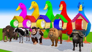 5 Giant Duck Cartoon Cow Chicken Elephant Tiger Paint Wild Animals Crossing part 62 [upl. by Shanley40]