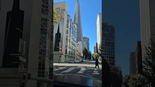 Transamerica Pyramid  San Francisco transamerica sanfranciscotravel americatravel [upl. by Lynnworth745]