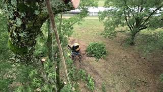 Working a Pecan tree down in the rain [upl. by Retsev]