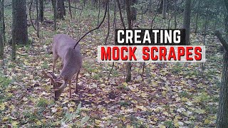 Creating Mock Scrapes For Deer Hunting [upl. by Liagiba542]