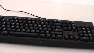 Razer Blackwidow quotExpertquot Mechanical Gaming Keyboard Review [upl. by Bard764]