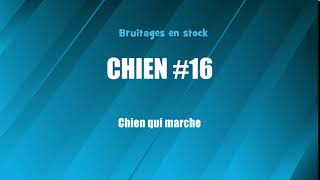 CHIEN 16 Chien qui marche bruitage gratuit [upl. by Boyse]