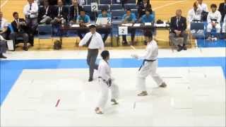 Kumite Masculino  Final  3rd JKS World Karate Championships Tokyo 2013 [upl. by Huberty]