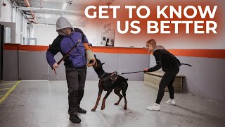 Useful Dog Training TipsProtection DogsWho Is K9 Security Ireland [upl. by Kimber154]