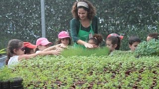 Projeto de Educação Ambiental quotDedinho Verdequot na Sabor de Fazenda [upl. by Alisha939]