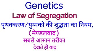 Law of Segregation ।। पृथक्करण या युग्मको की शुद्धता का नियम ।। [upl. by Aerdnac]