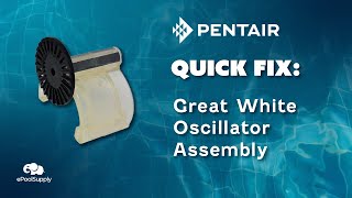 Pentair Kreepy Krauly Great White Oscillator Assembly Kit  Quick Fix [upl. by Phene]