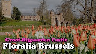 Floralia Brussels 2021  Spring flower  GrootBijgaarden Castle  Tulip garden in Belgium  4K [upl. by Schoenberg]