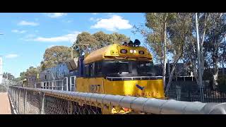 1AD8 races through Salisbury Interchange with NR27 Indian Pacific  NR35 [upl. by Carlos]