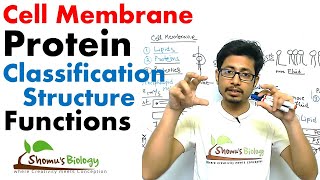 Plasma membrane proteins structure and function [upl. by Gussi]