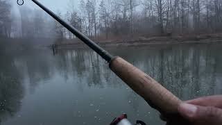 March 2024Steelhead Fishing In ThElk Creek PA Steelhead [upl. by Mairim]