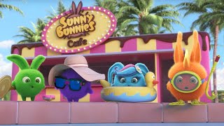 SUNNY BUNNIES  GOOD DAY FOR A SWIM  Season 7 COMPILATION  Cartoons for Kids [upl. by Ahsinhoj667]