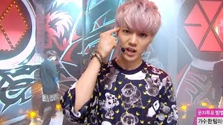 【TVPP】EXO  Growl 엑소  으르렁  Comeback Stage Show Music Core Live [upl. by Lladnew]