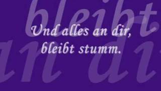 Warum  Juli lyrics [upl. by Hgalehs]