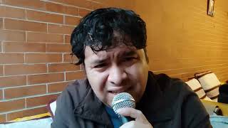 Si te pudiera mentir  Mike Mo  Cover  Marco Antonio Solis  acustico [upl. by Enomal499]