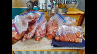 Canning Frozen Tomatoes [upl. by Polito]