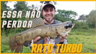 Pesca de TRAÍRAS com Rato artificial TURBO ISCAS pesca [upl. by Daron]