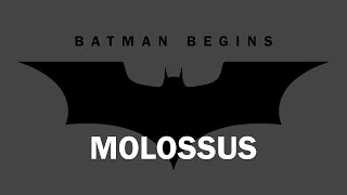 Batman Begins • Molossus cover [upl. by Alekram]