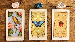 MEANT TO REACH YOU BEFORE THE END OF TODAY🌸🦋🐞 Pick a Card Tarot Reading [upl. by Eidolem930]