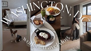 VLOG working a gig in washington dc including four seasons hotel room tours [upl. by Senn453]