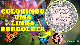 Colorindo uma linda Borboleta Livro Mundo das Flores Lápis Sivo Vivid [upl. by Nafis]