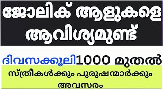 2024 Kerala Job vacancylatest job vacancy in keralakerala job vacancy todayjob vacancy 2024 job [upl. by Hovey181]