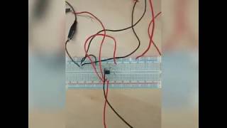 Experiment 6 Implementation of Differentiator and Integrator using 741 Opamp IC Video 3 [upl. by Honey]