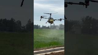 After the herbicide is finished continue spreading fertilizer drone sprayingdrone [upl. by Tareyn171]