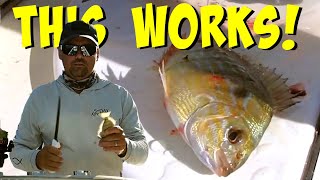 How to use Pinfish for Bait  The Best Way to Rig a Live Pinfish [upl. by Palma531]