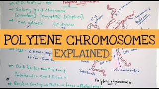 Exam Mapping Series CSIR NET Life Science June 2024  IFAS [upl. by Chesney554]