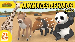 Animales Peludos Episodio Compilación Parte 35 Español  Leo El Explorador  Animación [upl. by Aloiv]