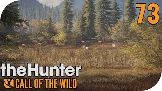 THE HUNTER CALL OF THE WILD 73  MISSIONEN IN BALMONT 🐗  PantoffelPlays [upl. by Nairod]