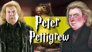 The Entire Life Of Peter Pettigrew Harry Potter Explained [upl. by Darrin]