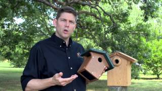 How to Choose the Best Nest Box for Your Birds [upl. by Nelra]