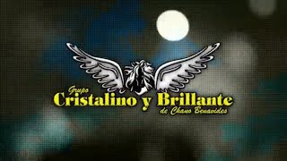 Grupo Cristalino y Brillante quotBailar Pegadosquot Video Lyrics Oficial [upl. by Dnalro66]