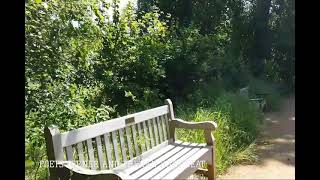 Walk in Poets Corner in Richmond Park and the Ian Dury Bench richmondparkpoetscornerianduryseat [upl. by Radferd]