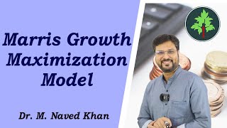 Marris Growth Maximization Model [upl. by Eadahs]