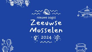 Nieuw seizoen Zeeuwse mosselen 2024 van start [upl. by Yrreiht]