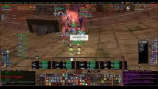 EQ2  RRC Alliance killing The Enraged War Boar 20130310 [upl. by Isola]