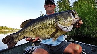 Topwater Bass Fishing Blowups Series 6  50 Big Bass Strikes [upl. by Lati533]