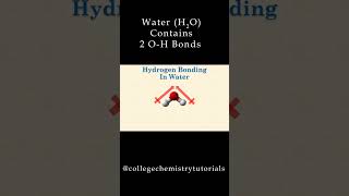 Hydrogen Bonding Explained [upl. by Notse]