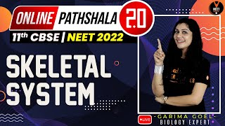 Skeletal System  Locomotion and Movement Class 11 L2  NEET 2022 Preparation  NEET Biology [upl. by Alvarez]