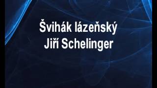 Švihák lázeňský  Jiří Schelinger Karaoke tip [upl. by Airetnahs725]