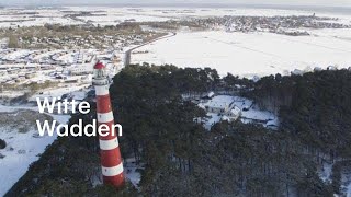 Wintersporten op de Waddeneilanden 15 centimeter sneeuw  RTL NIEUWS [upl. by Naesad]