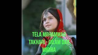 Afghan Song Tela Mohammad Takhari  Dilam Dar Migira دلم در میگیره [upl. by Nednal]