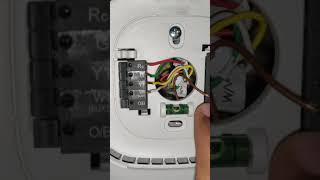 Connecting Humidifier to Ecobee [upl. by Prinz177]