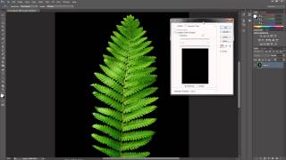 Creating Opacity Maps for Foliage [upl. by Aletta]