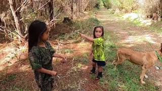 Kian the kiwi kid  Kaingaroa hunting [upl. by Onitram671]